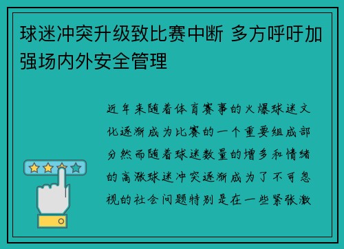 球迷冲突升级致比赛中断 多方呼吁加强场内外安全管理