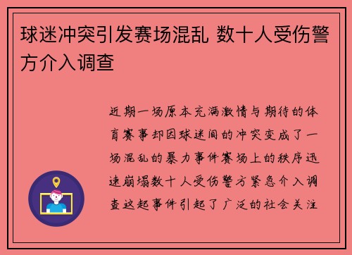 球迷冲突引发赛场混乱 数十人受伤警方介入调查