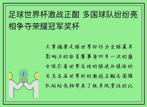 足球世界杯激战正酣 多国球队纷纷亮相争夺荣耀冠军奖杯 足球世界杯激战正酣 多国球队纷纷亮相争夺荣耀冠军奖杯